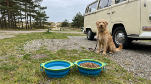 Comida para mascotas y comederos para el viaje , bien abastecido junto al agua
