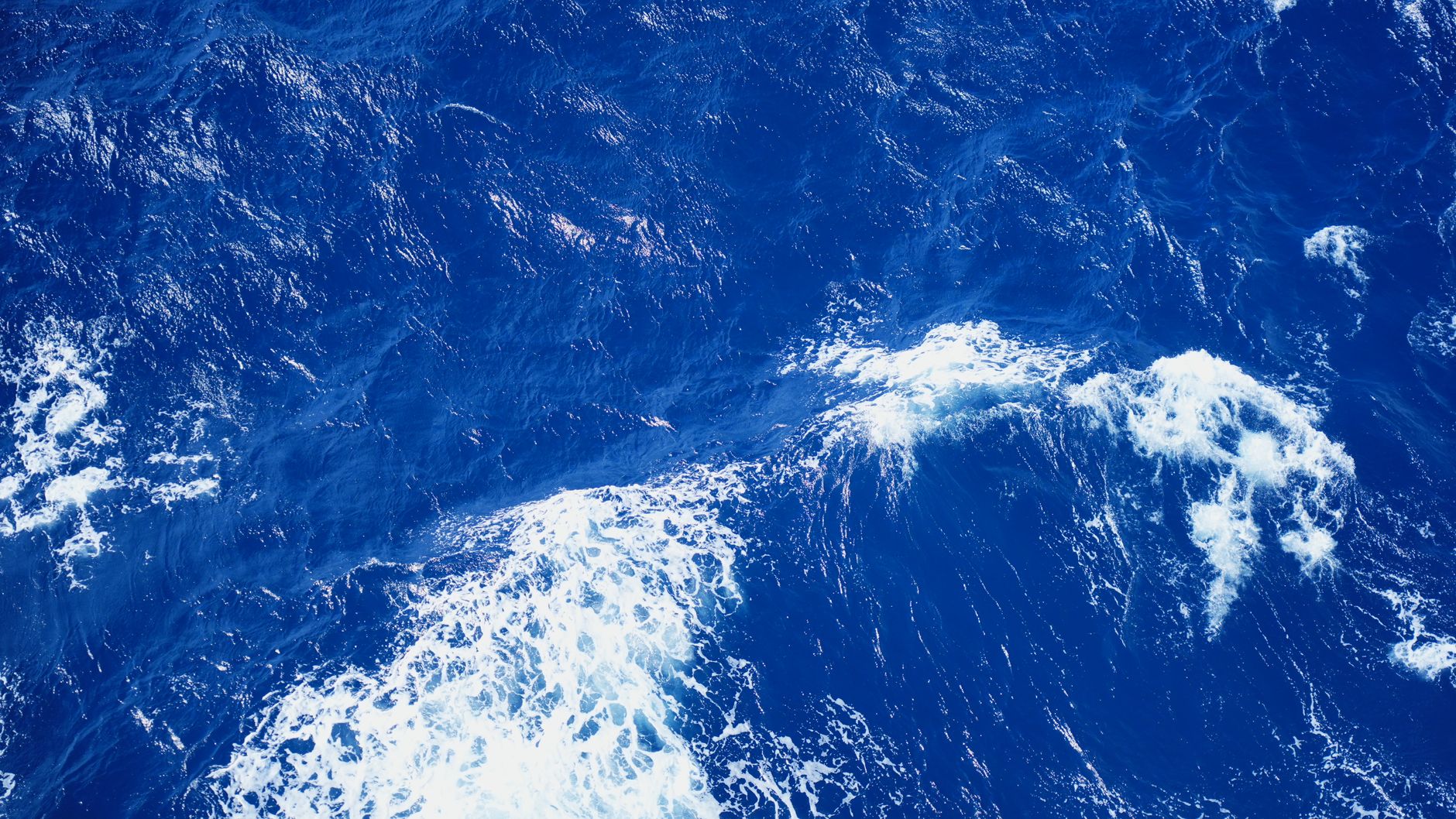 Wave on the sea