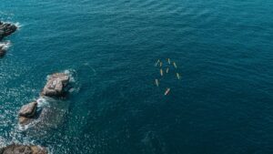 Rutas en kayak y SUP: disfrutar del mar Báltico muy despacio
