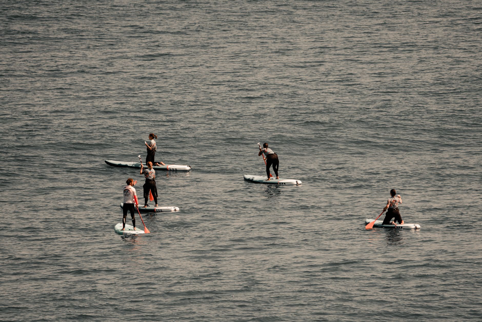 SUP for beginners