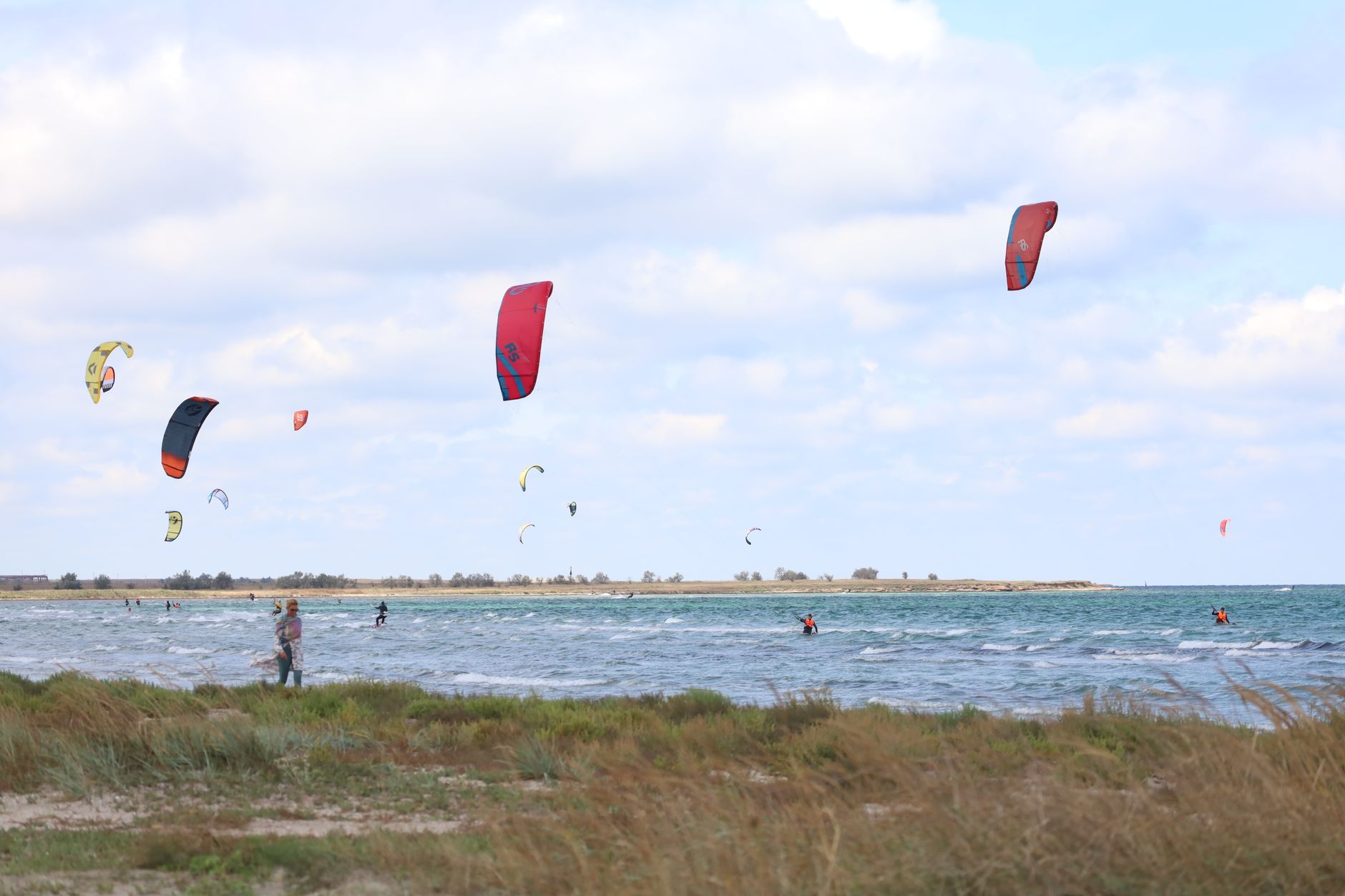 Kite am Himmel ueber dem Strand