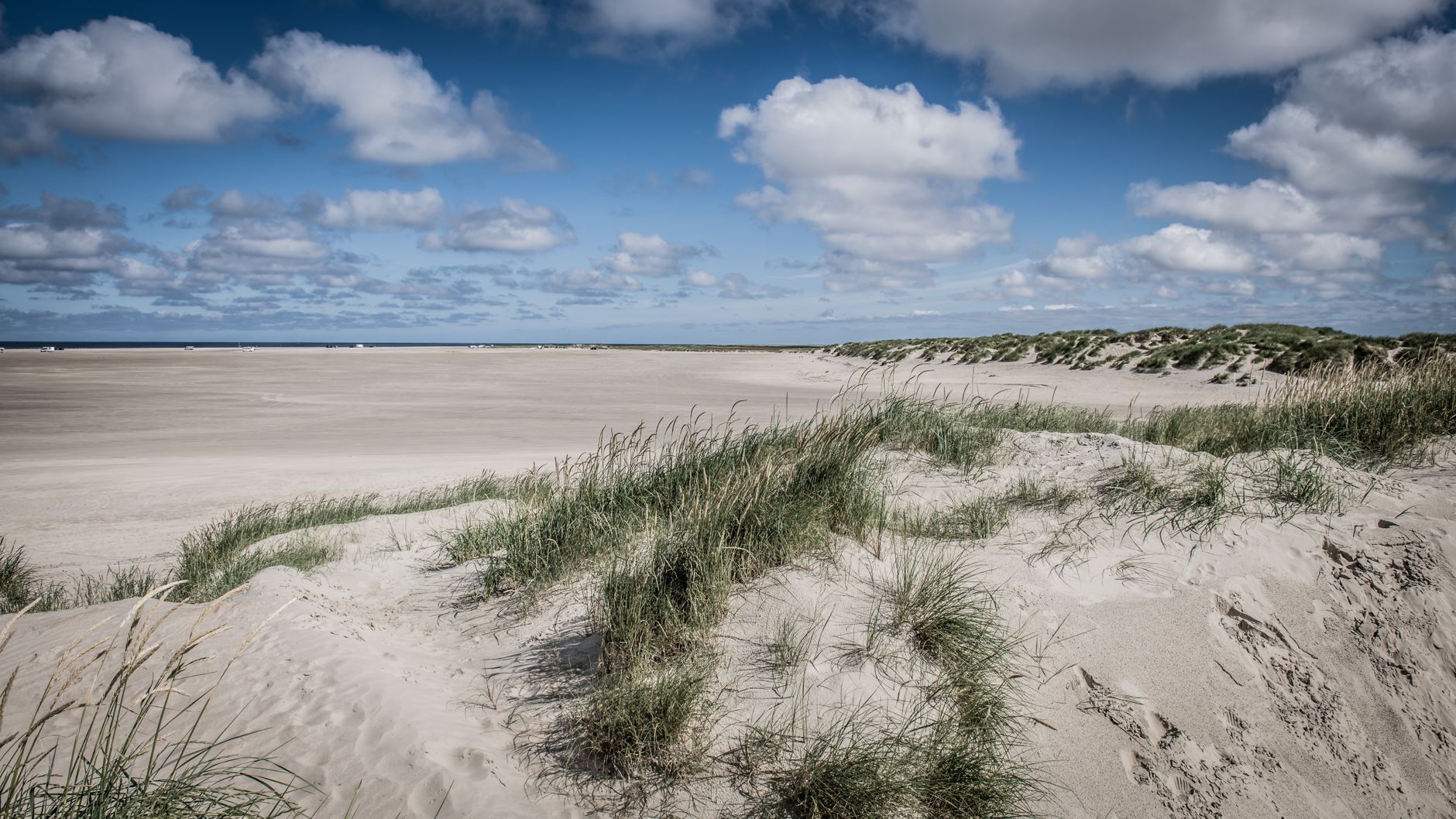 Duenen und Strand an der Nordsee