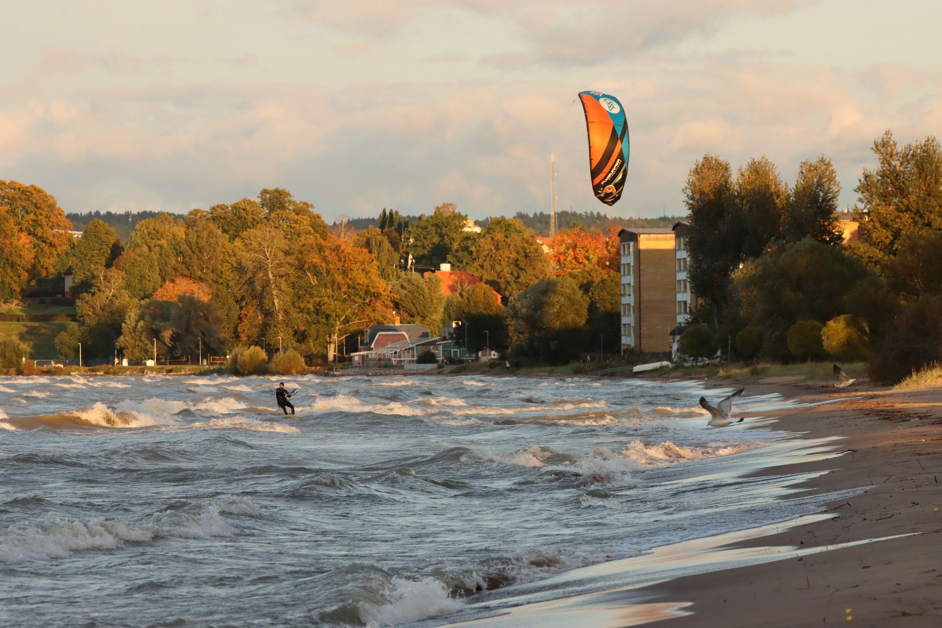Schweden für Wochenend-Kiter: Skanör und Falsterbo