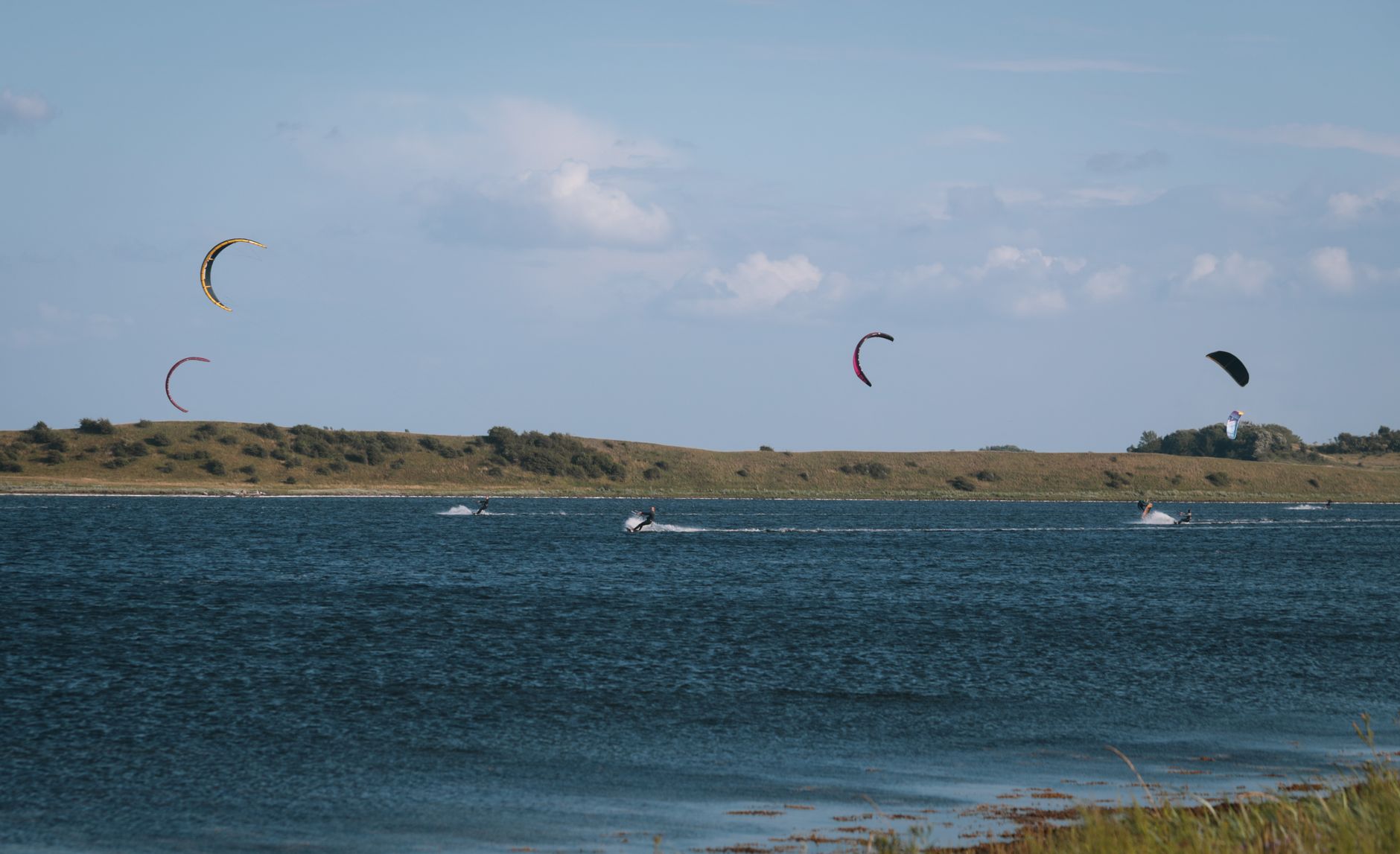 Mehrere Kites am weiten Strand
