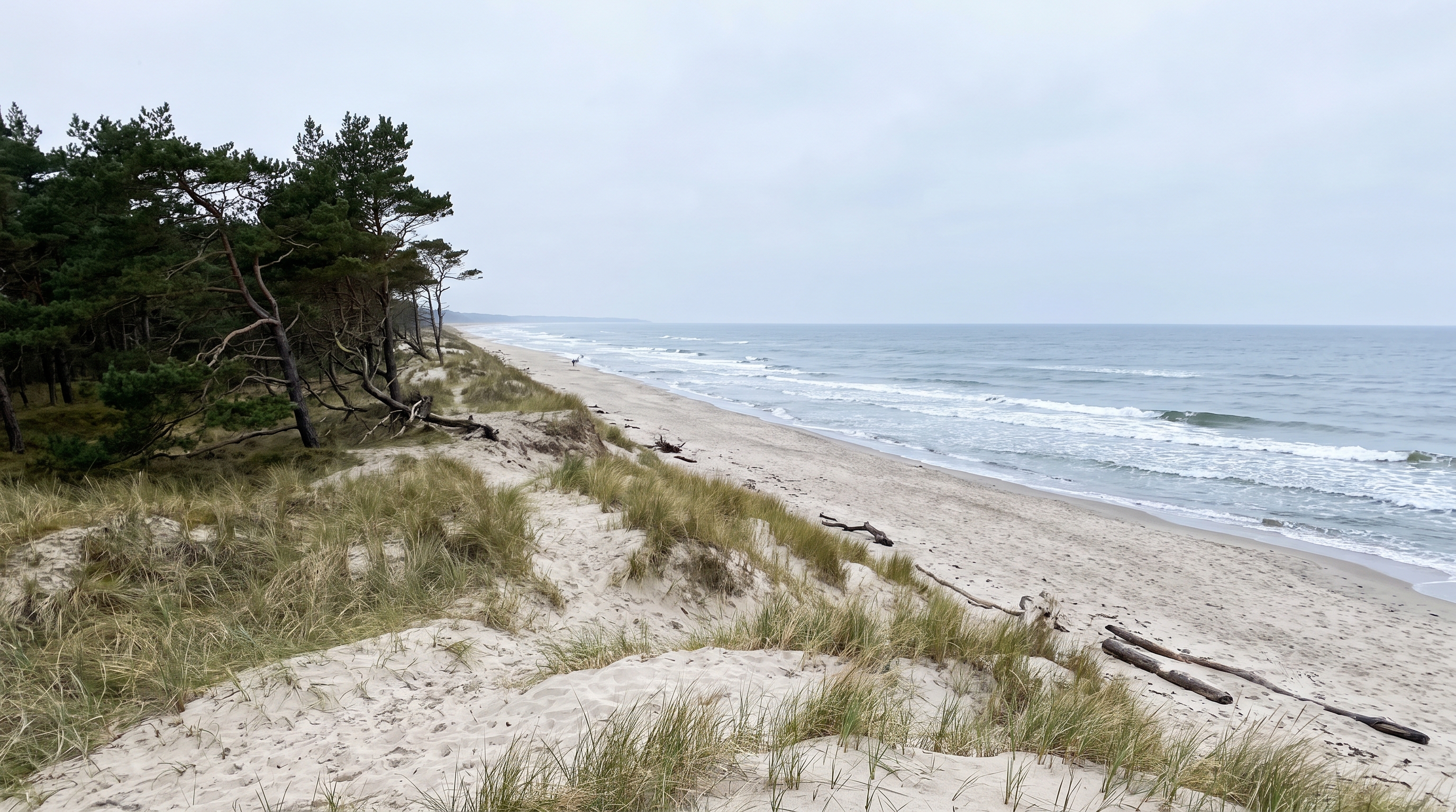 Wustrow and Zingst